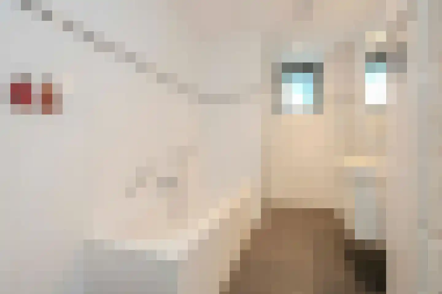 Parallelweg 53 Oirschot thumbnail 32