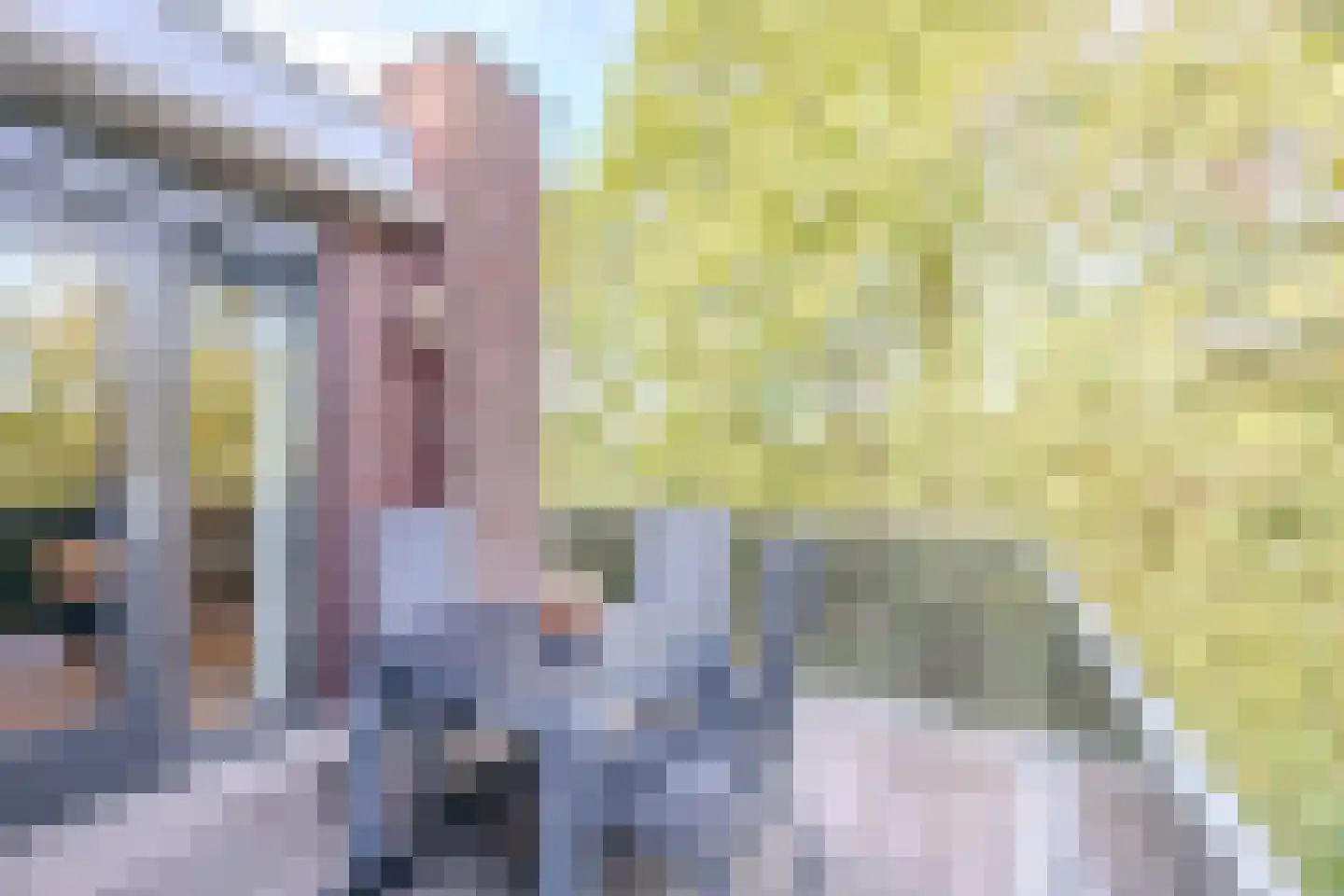 Parallelweg 53 Oirschot thumbnail 39