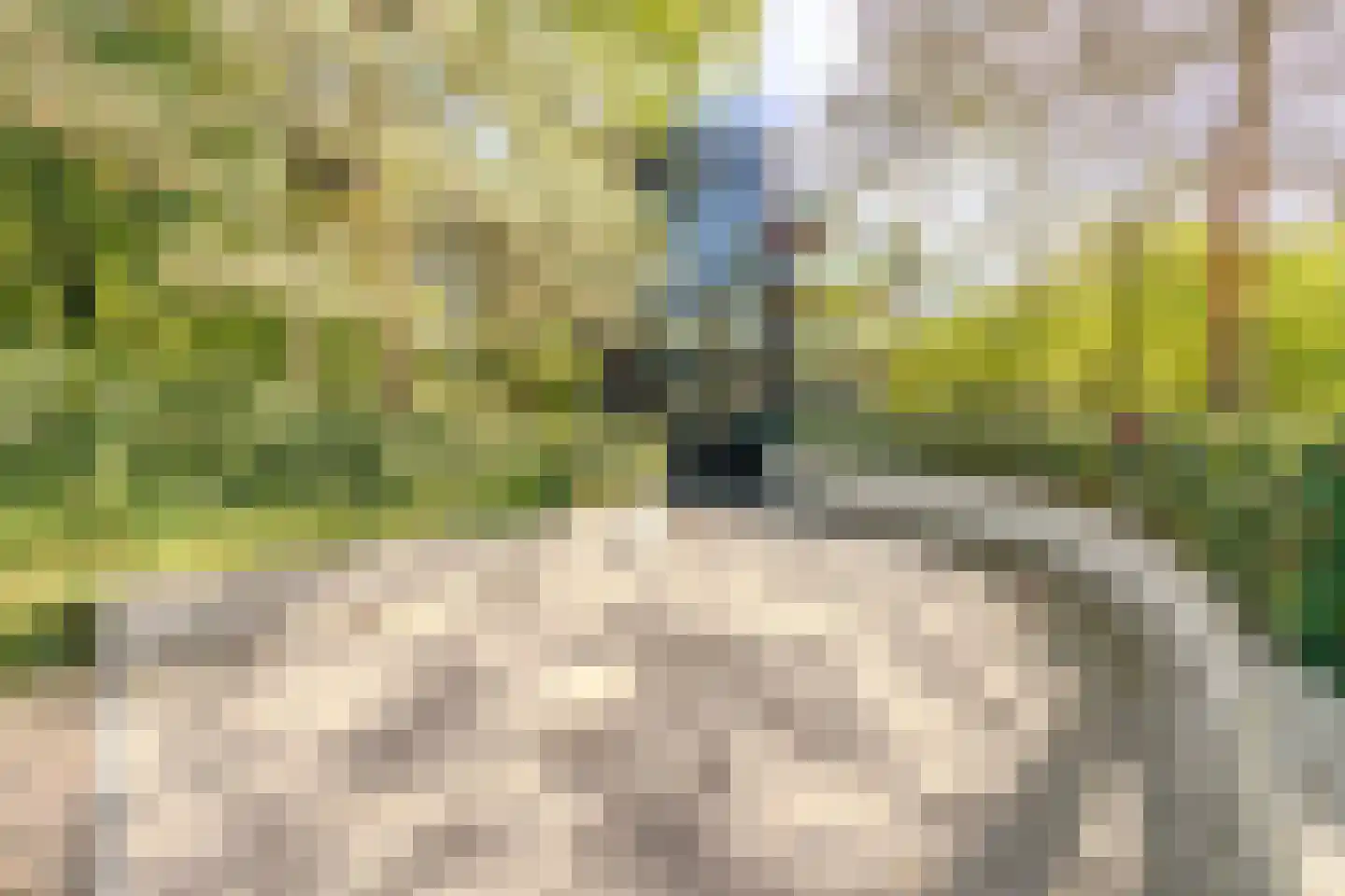Parallelweg 53 Oirschot thumbnail 46