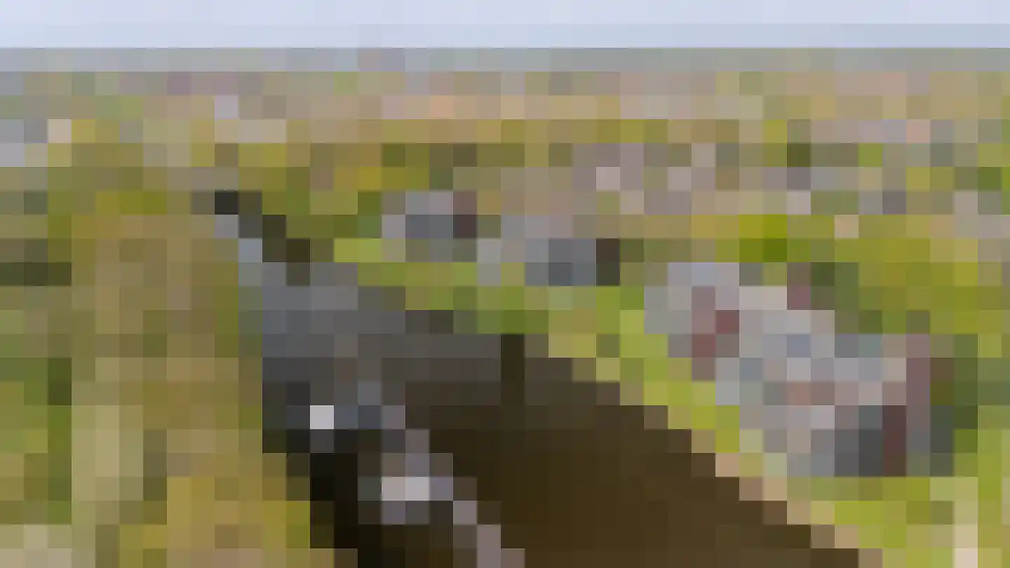 Parallelweg 53 Oirschot thumbnail 49