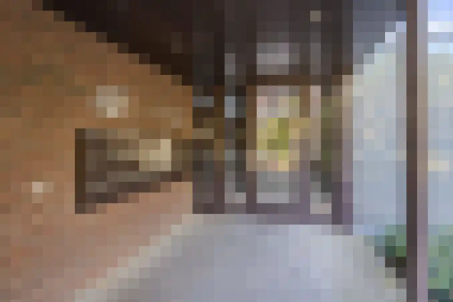 Parallelweg 53 Oirschot thumbnail 9