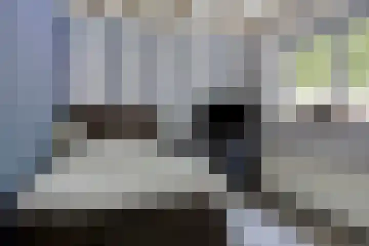 Parallelweg 56 Alblasserdam thumbnail 10