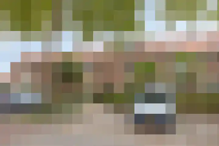Parallelweg 56 Alblasserdam thumbnail 21