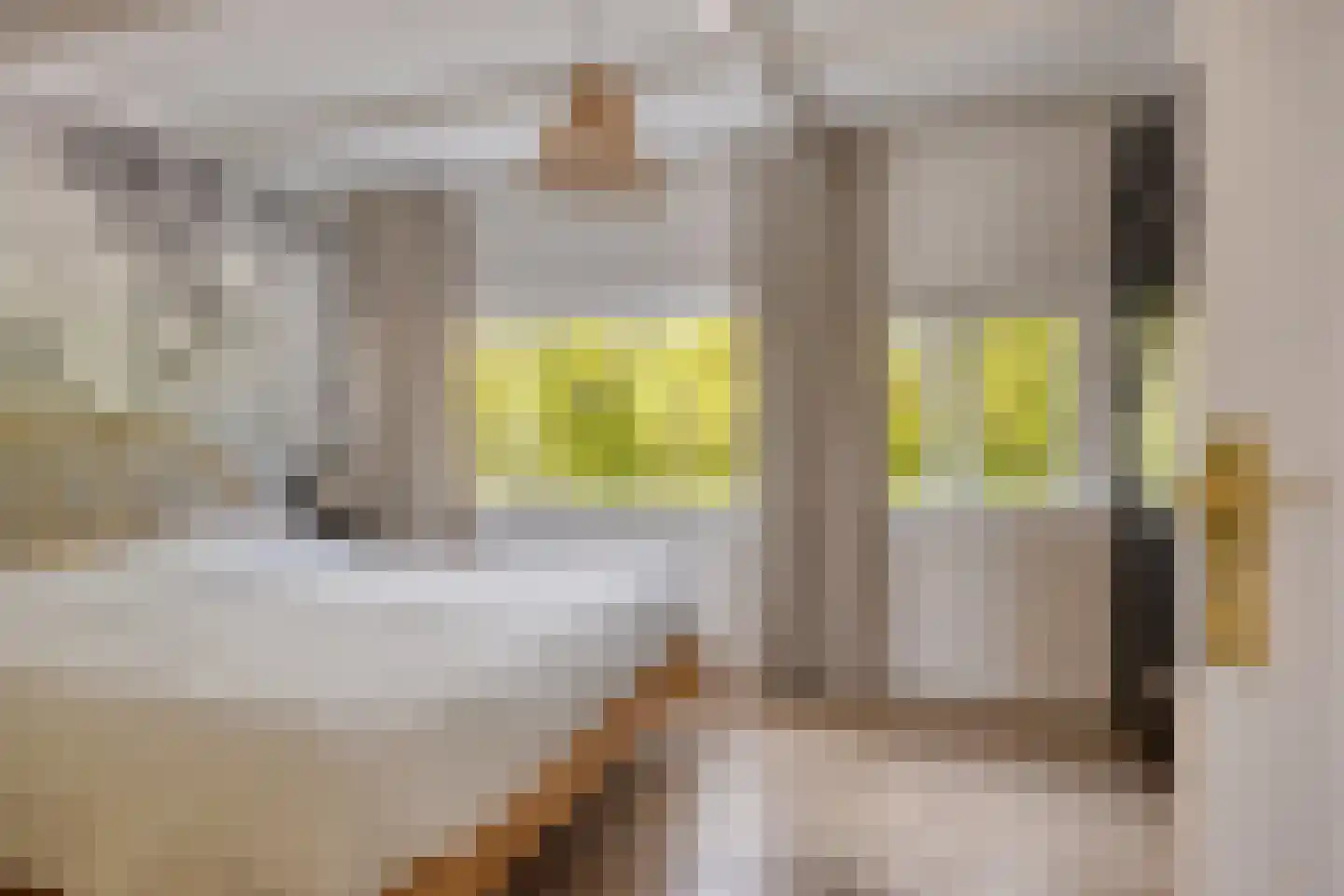 Parallelweg 56 Veenendaal thumbnail 15