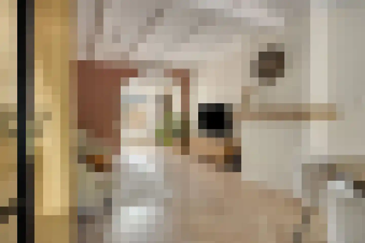 Parallelweg 56 Veenendaal thumbnail 7