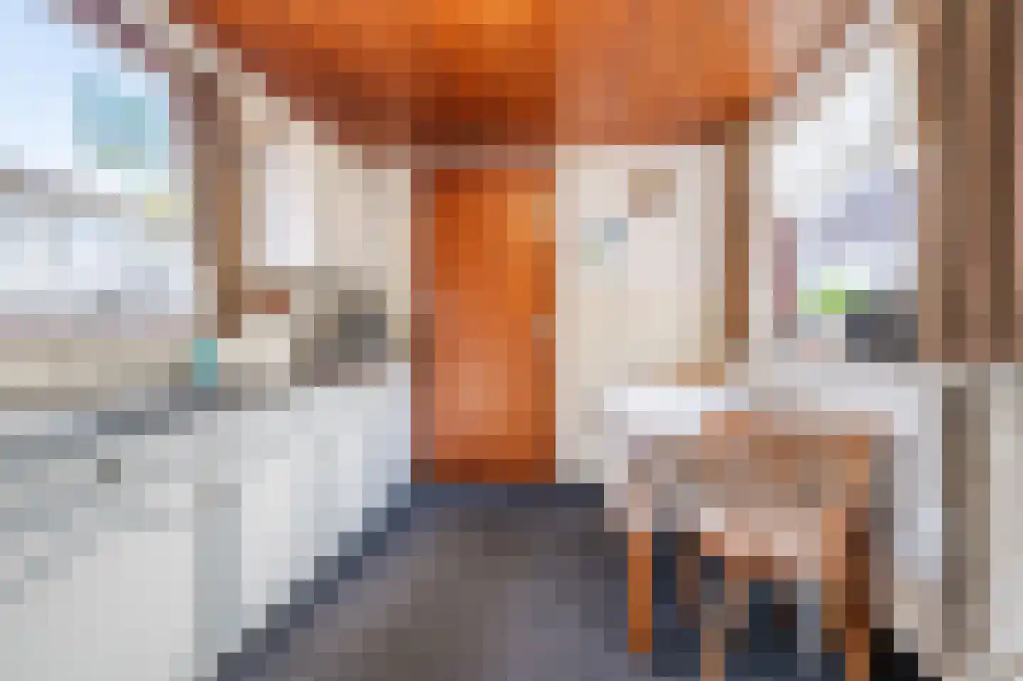 Parallelweg 57 Geldrop thumbnail 13