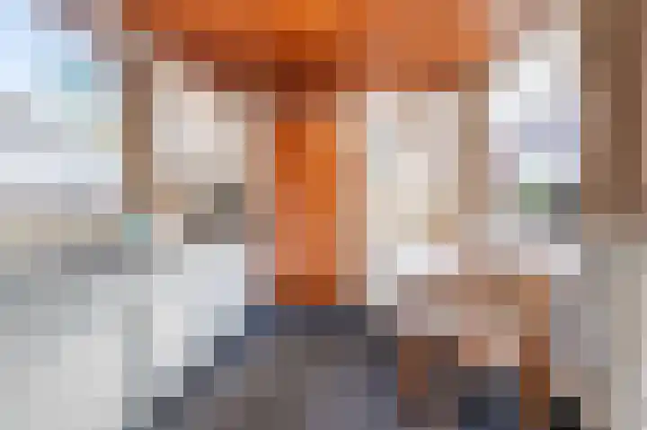 Parallelweg 57 Geldrop thumbnail 13