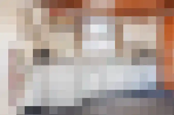 Parallelweg 57 Geldrop thumbnail 14