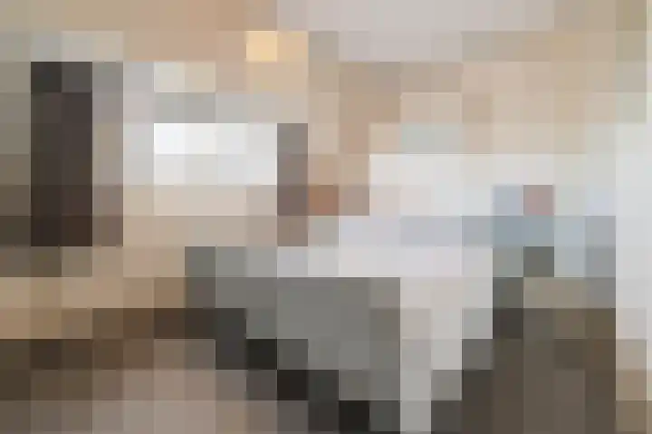 Parallelweg 57 Geldrop thumbnail 23