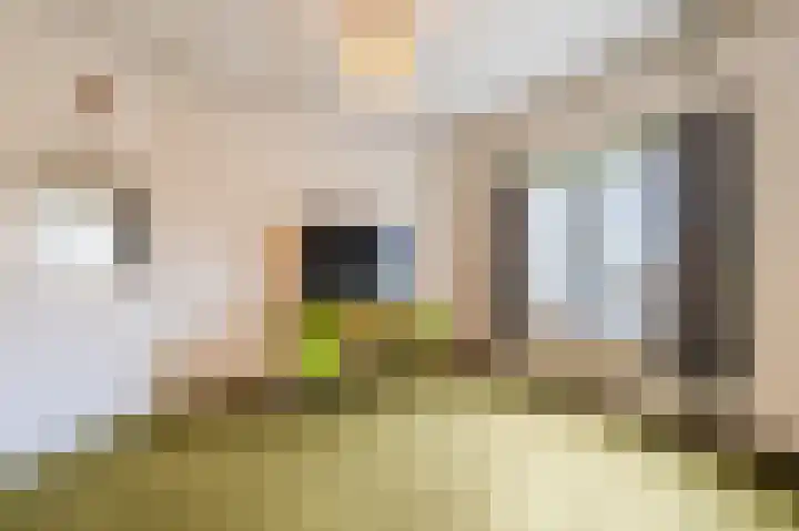 Parallelweg 57 Geldrop thumbnail 25