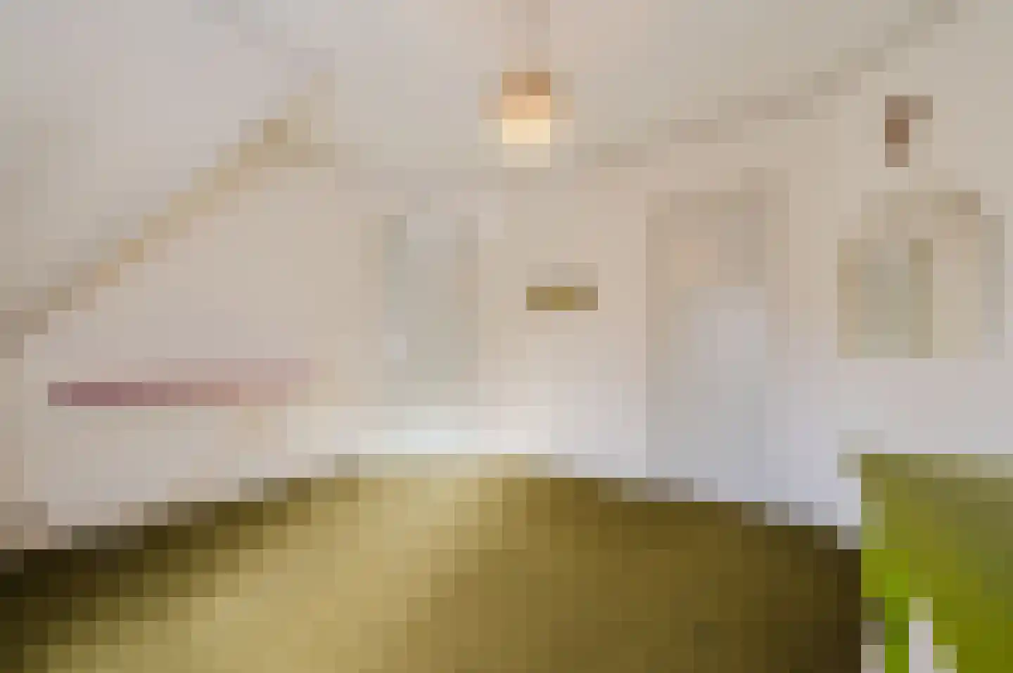 Parallelweg 57 Geldrop thumbnail 26