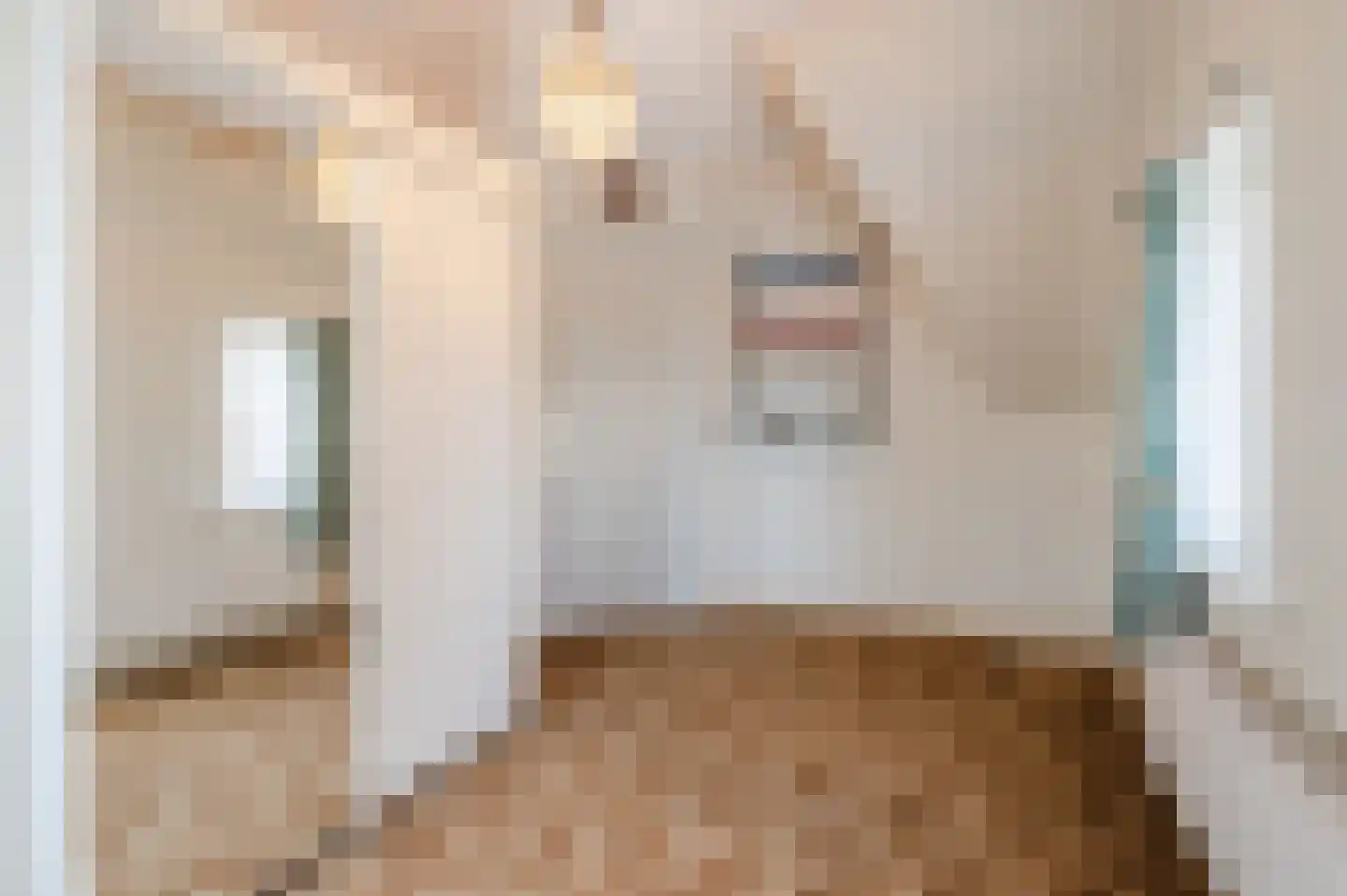 Parallelweg 57 Geldrop thumbnail 28