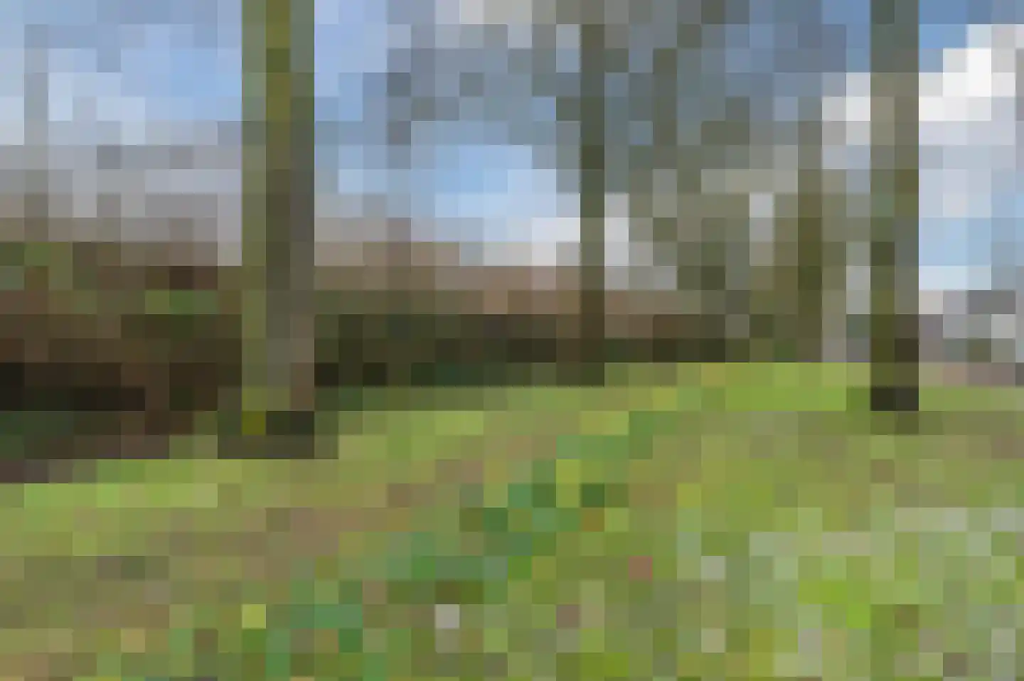 Parallelweg 57 Geldrop thumbnail 52