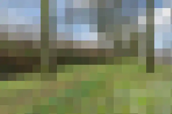 Parallelweg 57 Geldrop thumbnail 52