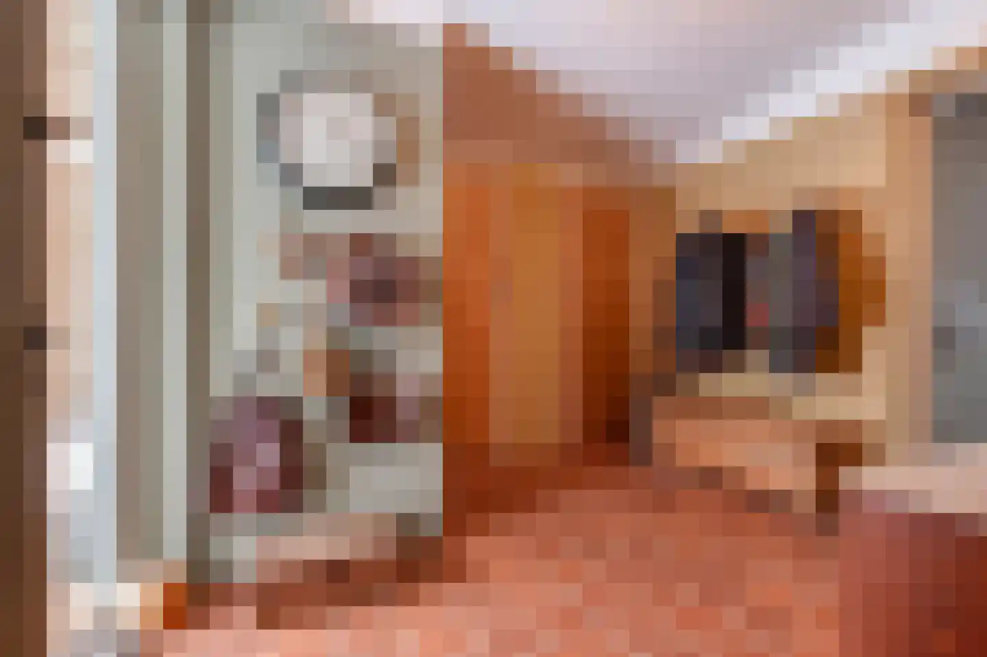 Parallelweg 57 Geldrop thumbnail 56