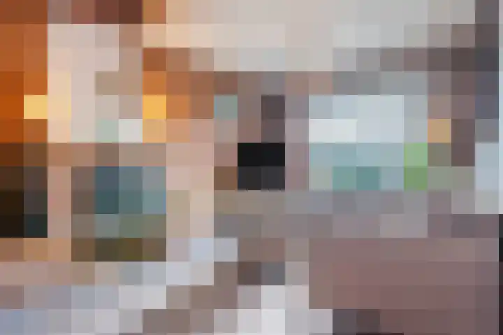 Parallelweg 57 Geldrop thumbnail 6