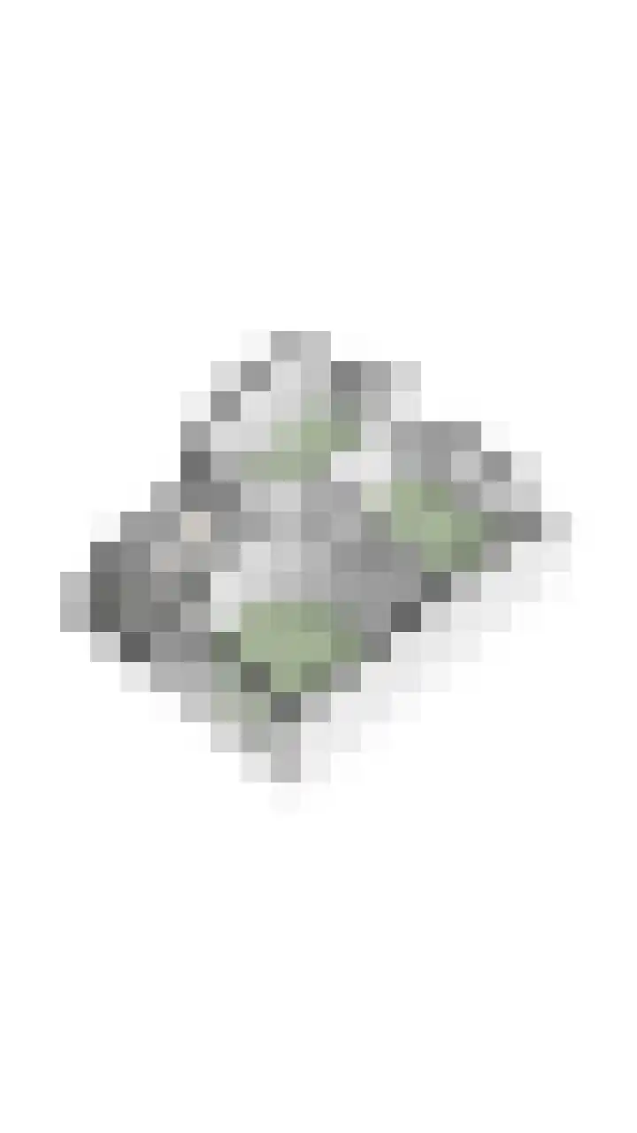 Parallelweg 57 Geldrop thumbnail 62