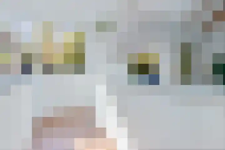 Parallelweg 59 Glimmen thumbnail 19