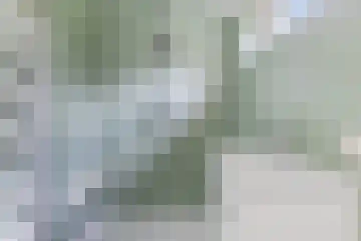 Parallelweg 59 Glimmen thumbnail 24