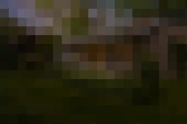 Parallelweg 59 Glimmen thumbnail 42