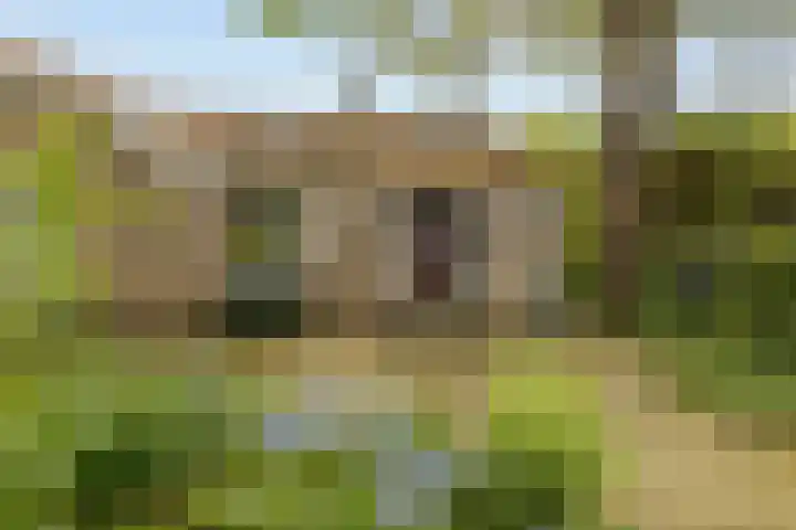 Parallelweg 59 Glimmen thumbnail 5