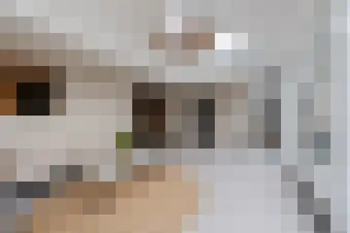 Parallelweg 6 a Budel-Schoot thumbnail 14