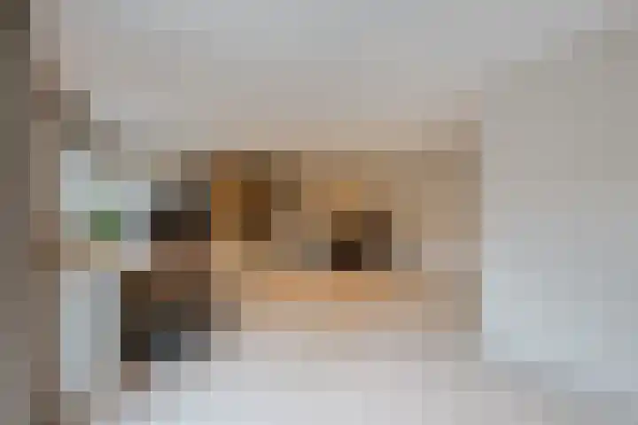 Parallelweg 6 a Budel-Schoot thumbnail 19