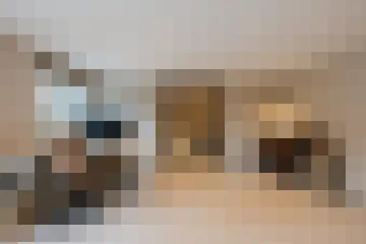 Parallelweg 6 a Budel-Schoot thumbnail 20