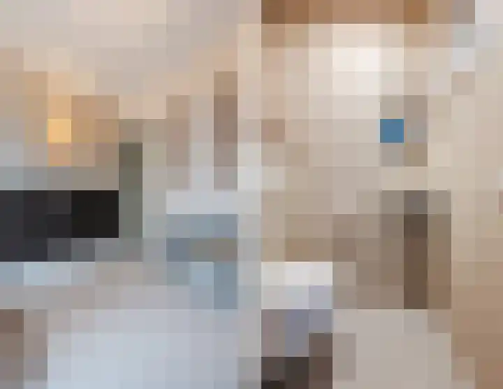 Parallelweg 6 a Budel-Schoot thumbnail 22