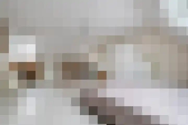 Parallelweg 6 a Budel-Schoot thumbnail 25