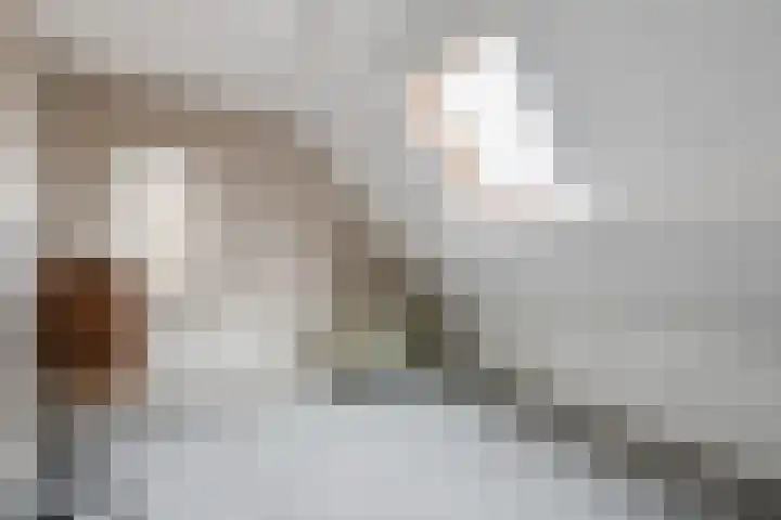 Parallelweg 6 a Budel-Schoot thumbnail 27