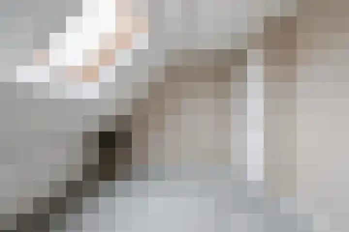 Parallelweg 6 a Budel-Schoot thumbnail 28
