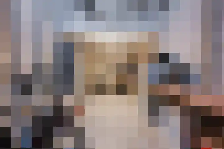 Parallelweg 6 a Budel-Schoot thumbnail 32