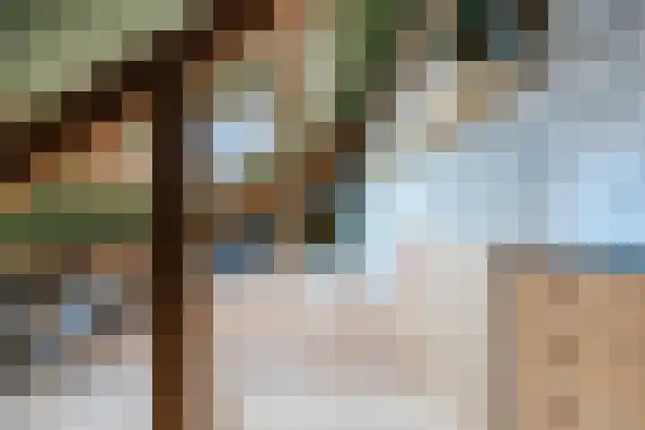 Parallelweg 6 a Budel-Schoot thumbnail 34