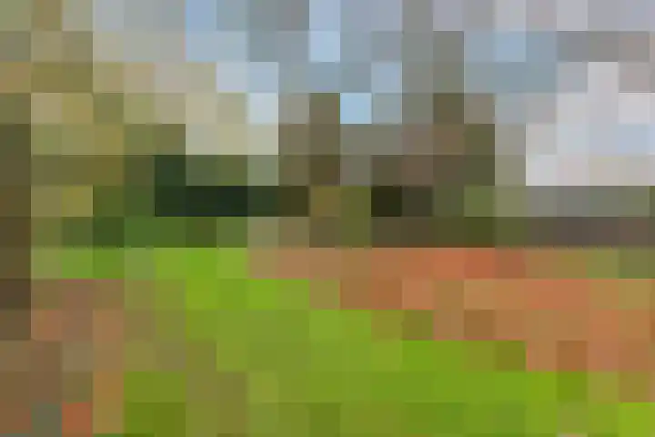 Parallelweg 6 a Budel-Schoot thumbnail 38