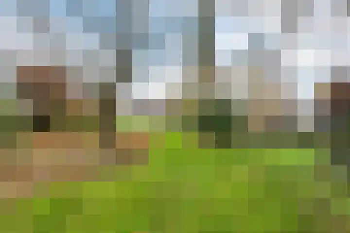Parallelweg 6 a Budel-Schoot thumbnail 39