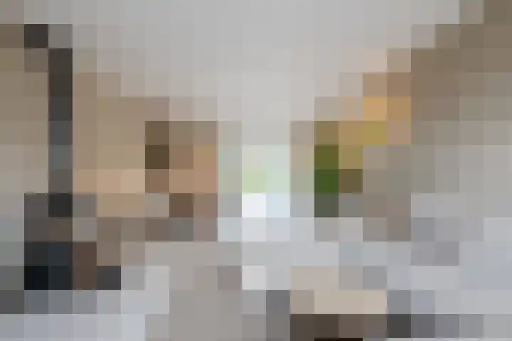 Parallelweg 6 a Budel-Schoot thumbnail 4