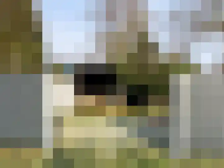 Parallelweg 6 a Budel-Schoot thumbnail 43
