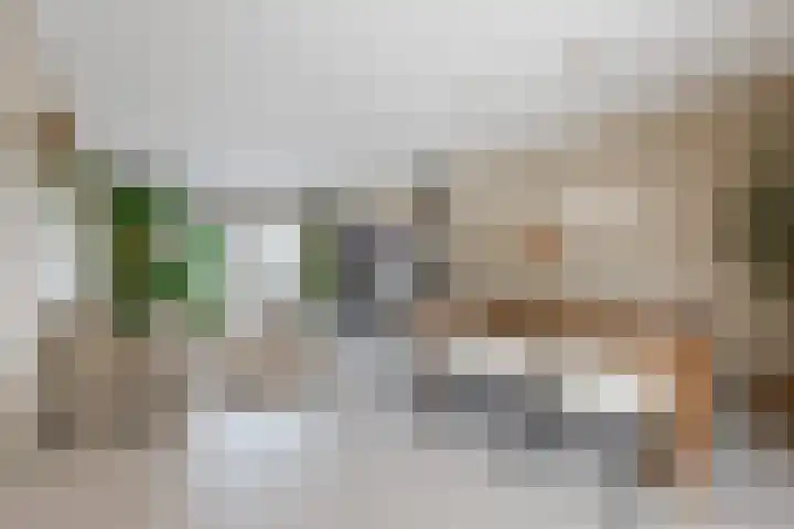 Parallelweg 6 a Budel-Schoot thumbnail 5