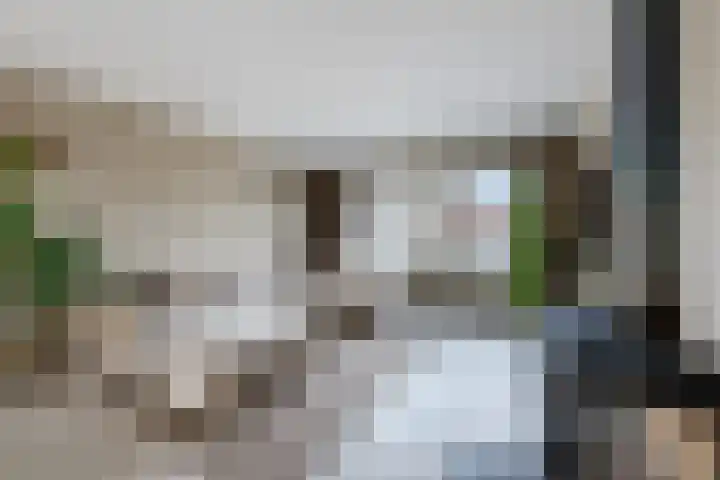 Parallelweg 6 a Budel-Schoot thumbnail 6