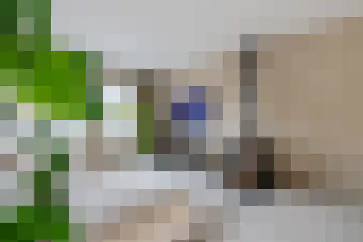 Parallelweg 6 a Budel-Schoot thumbnail 7