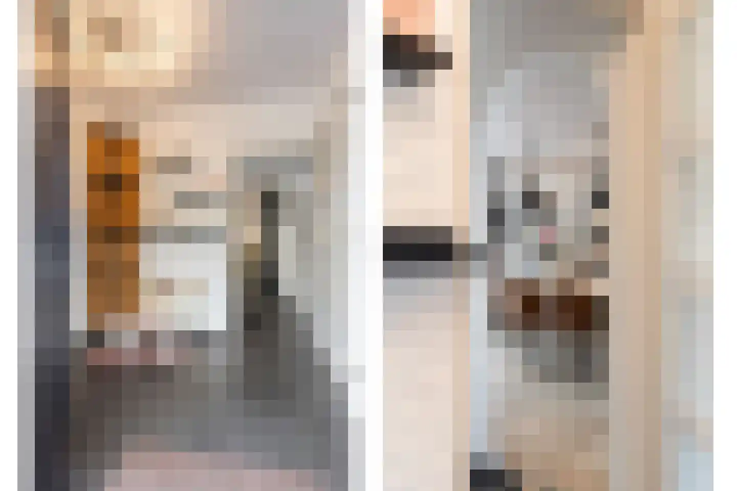 Parallelweg 6 b Budel-Schoot thumbnail 18