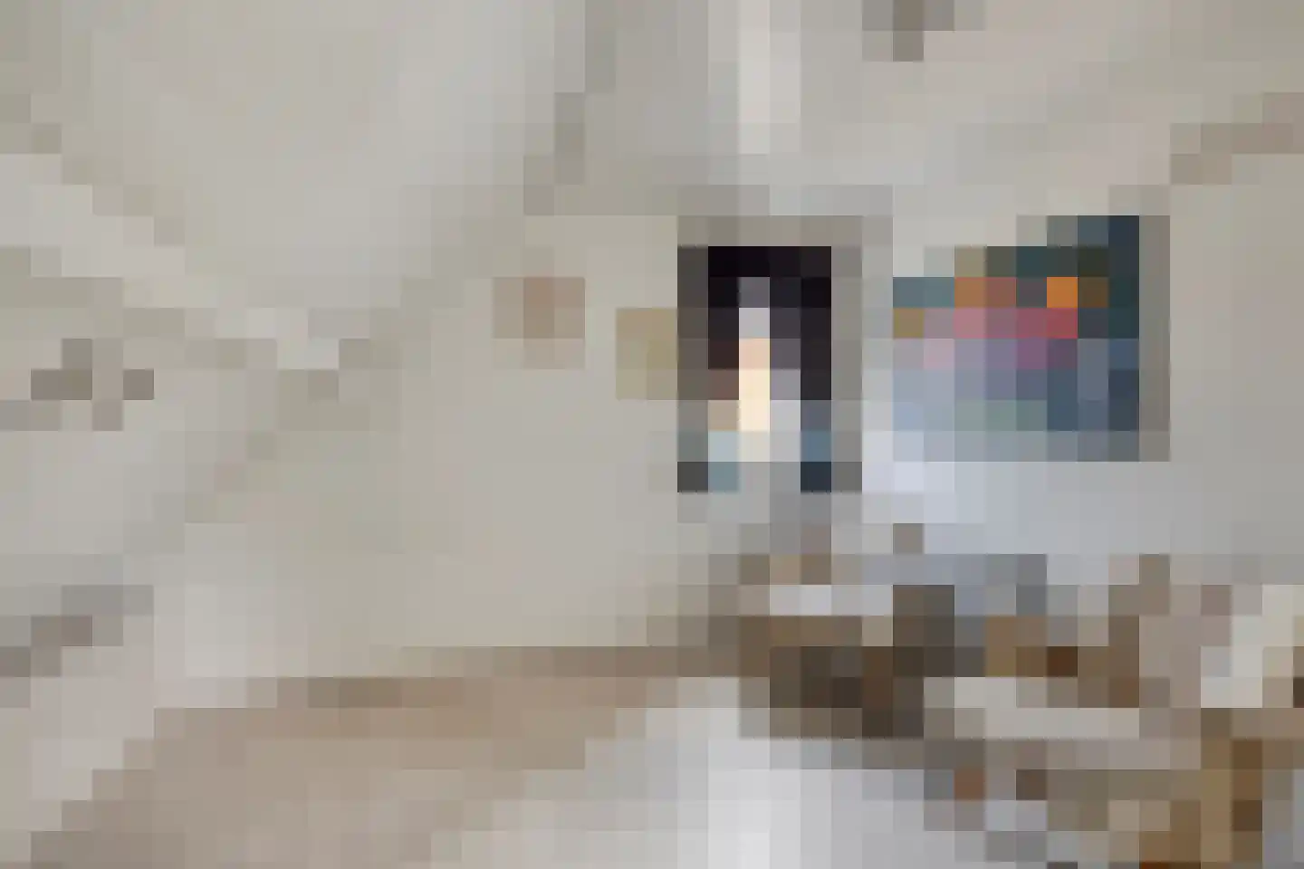 Parallelweg 6 b Budel-Schoot thumbnail 22