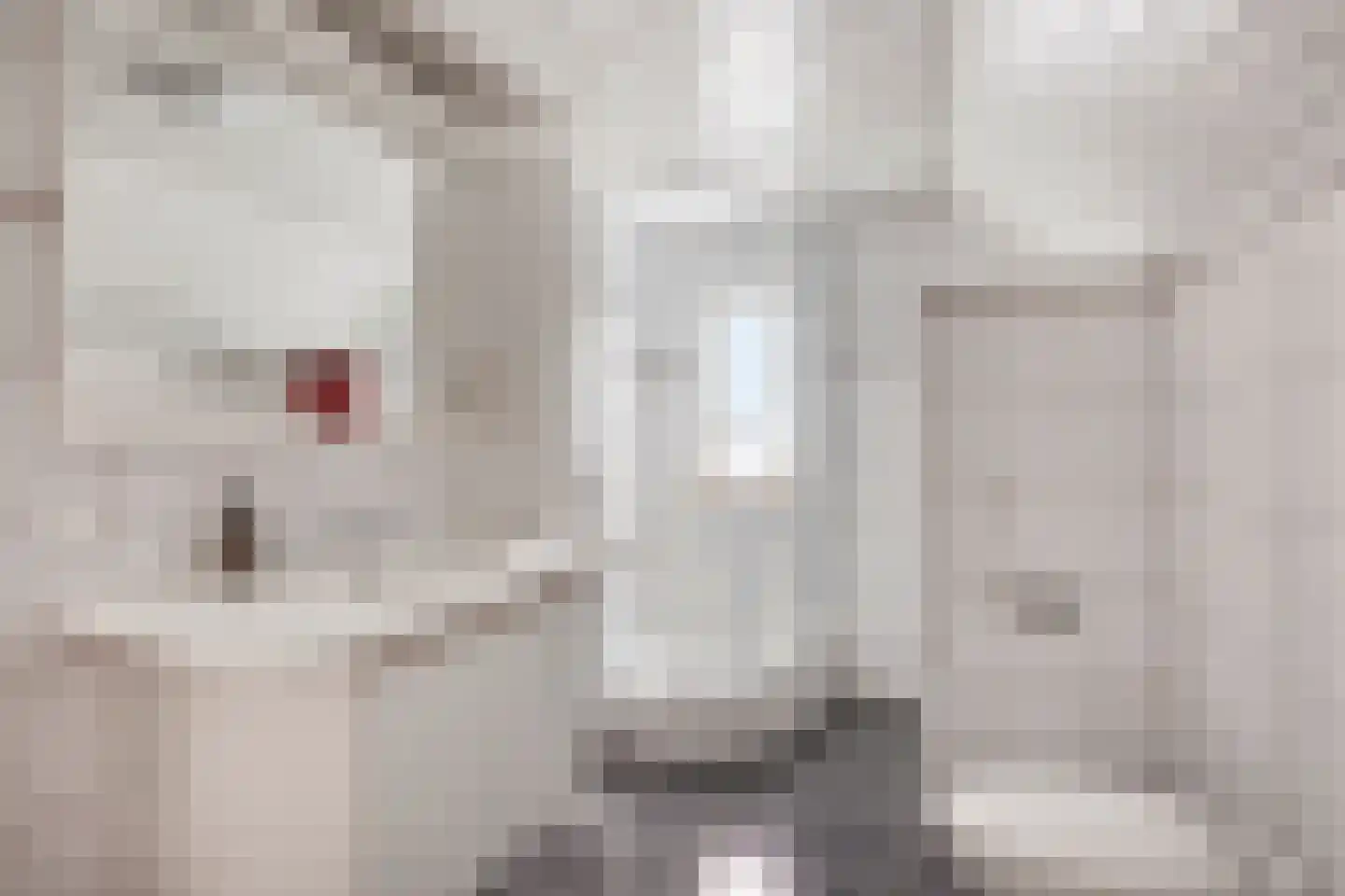 Parallelweg 6 b Budel-Schoot thumbnail 26