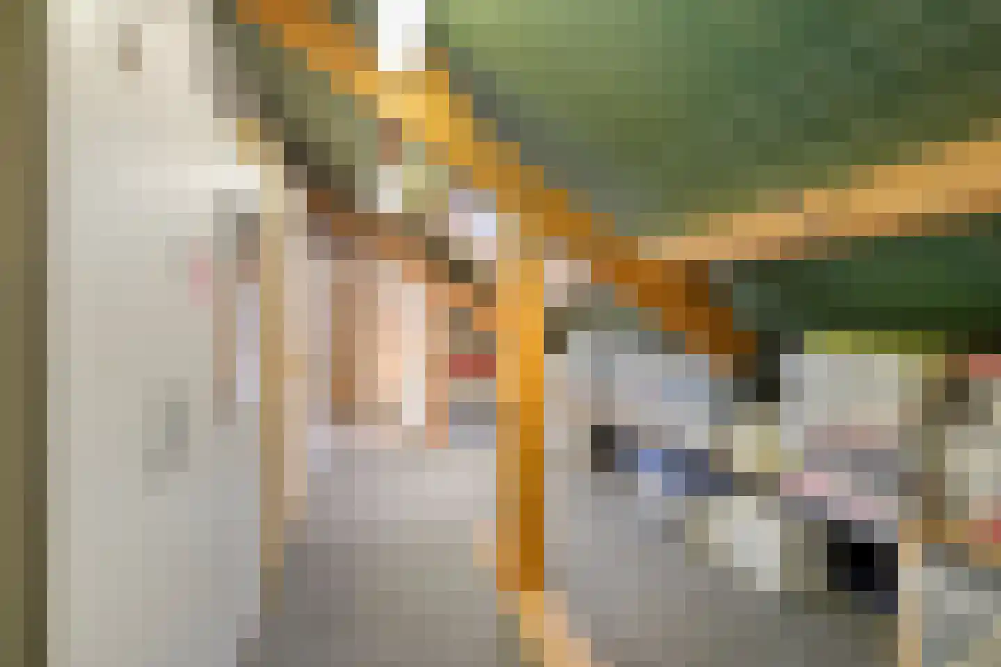 Parallelweg 6 b Budel-Schoot thumbnail 27