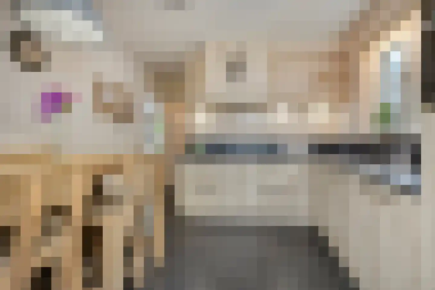 Parallelweg 6 b Budel-Schoot thumbnail 6