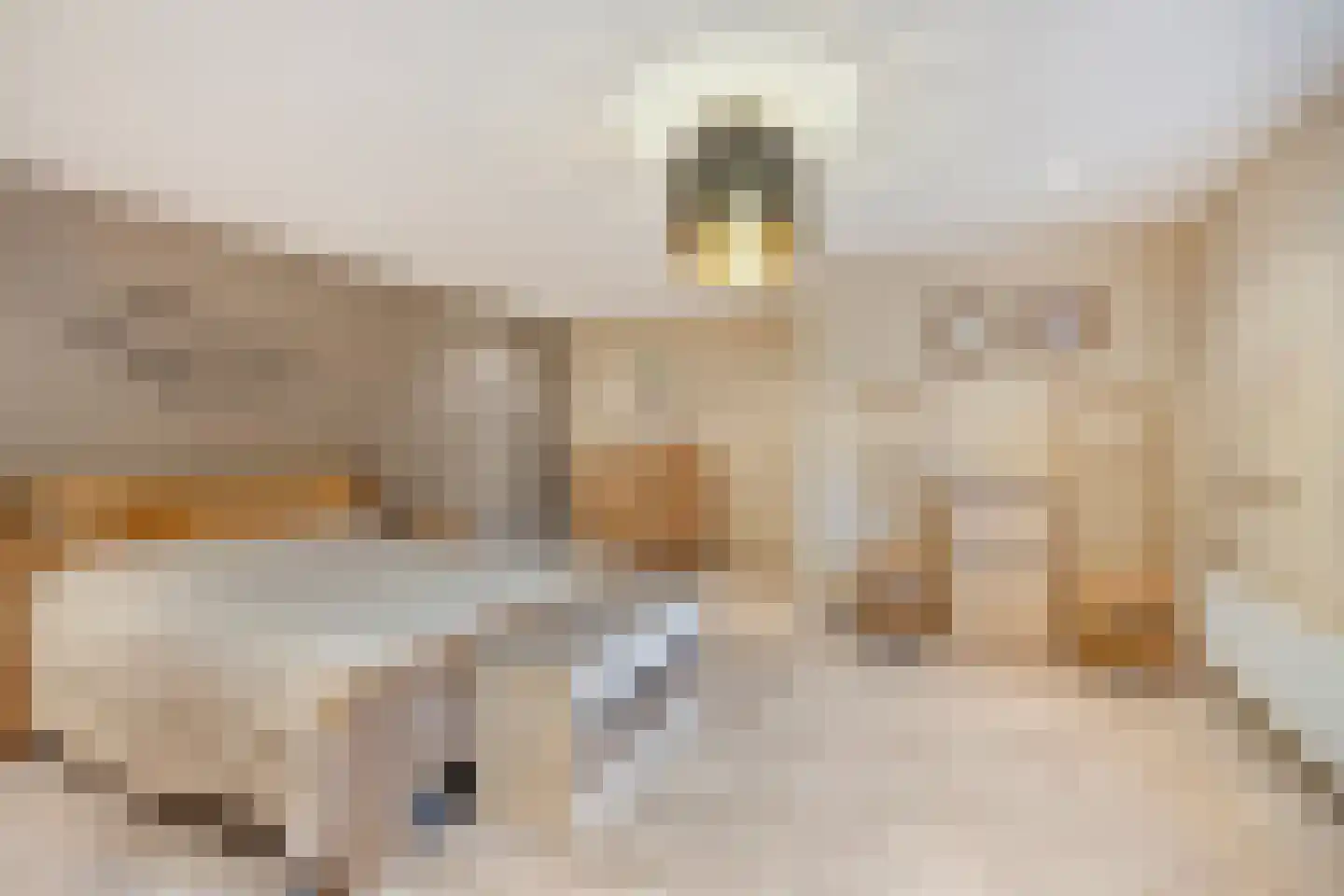 Parallelweg 6 b Budel-Schoot thumbnail 9