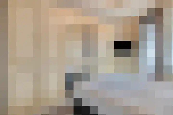 Parallelweg 6 Weert thumbnail 14