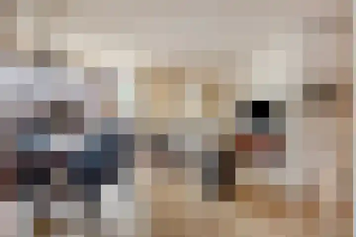 Parallelweg 6 Weert thumbnail 9