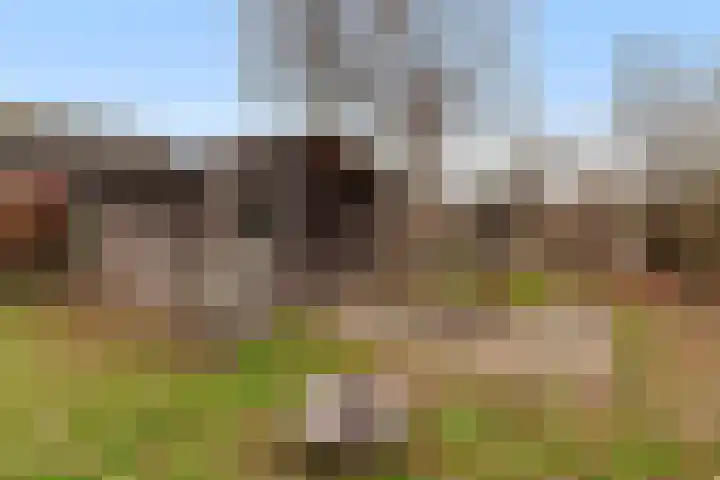 Parallelweg 61 Hardinxveld-Giessendam thumbnail 35